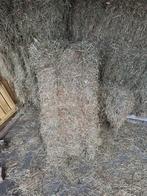 Hooibalen, Dieren en Toebehoren, Dierenvoeding, Ophalen, Vee