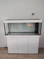 Jewel Aquarium Rio 240 led. incl meubel, Ophalen, Zo goed als nieuw, Leeg aquarium