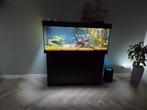 Juwel Rio 240 Aquarium, Dieren en Toebehoren, Vissen | Aquaria en Toebehoren, Ophalen, Zo goed als nieuw, Gevuld zoetwateraquarium