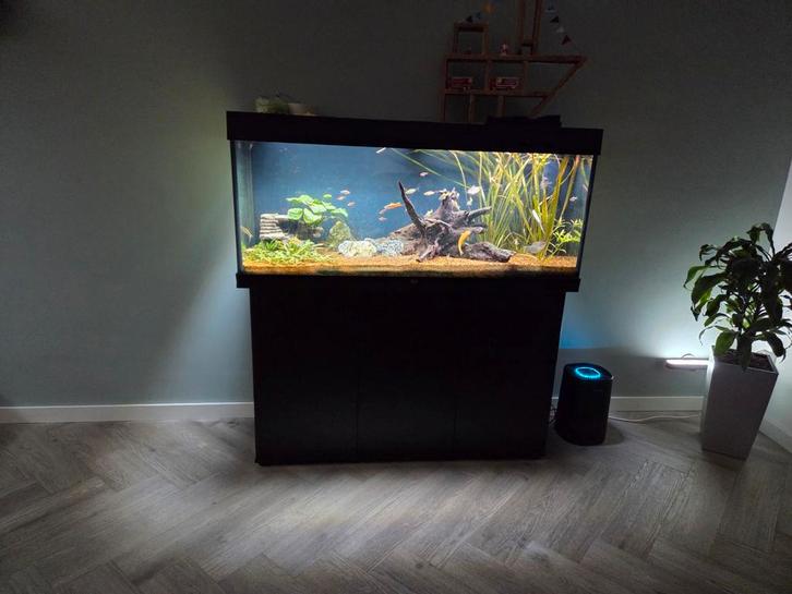 Juwel Rio 240 Aquarium, Dieren en Toebehoren, Vissen | Aquaria en Toebehoren, Zo goed als nieuw, Gevuld zoetwateraquarium, Ophalen