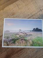 drouwenerzand, Ophalen of Verzenden