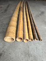 Dik bamboe, Tuin en Terras, Palen, Balken en Planken, Ophalen, Zo goed als nieuw, 250 cm of meer, Palen