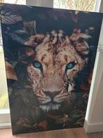 Leeuw en Leeuwin Schilderij op glas, Ophalen of Verzenden, Zo goed als nieuw, Schilderij, 75 tot 100 cm