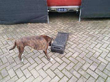 Munitiekist hout, zie foto's  beschikbaar voor biedingen