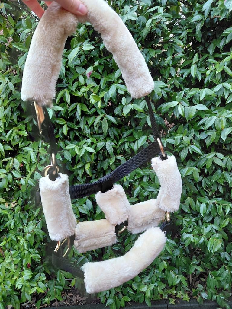 Bont Halster maat pony, Dieren en Toebehoren, Ophalen of Verzenden, Zo goed als nieuw, Overige soorten