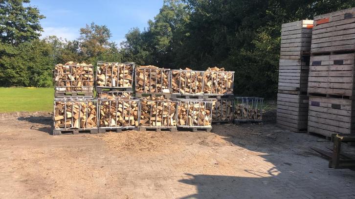 DROOG essenhout te koop, Tuin en Terras, Haardhout, Ophalen of Verzenden