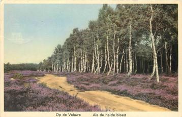 (388-457-015) Op de Veluwe Als de heide bloeit beschikbaar voor biedingen