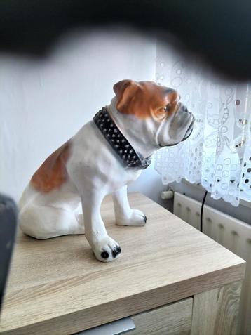 Te koop buitenbeeld van een Engelse Bulldog beschikbaar voor biedingen