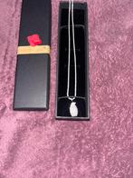 Moissanite S925 necklace (ketting), Ophalen of Verzenden, Nieuw, Zilver