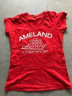 Ameland T-shirt maat L, Maat 38/40 (M), Ophalen of Verzenden, Korte mouw, Gedragen