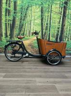 Babboe CURVE-E BAKFIETS MET NIEUWE MOTOR Dames Grijs 50cm 20, Overige merken, Gebruikt, -, - 0
-, NL