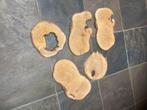 boomschijven hout bruiloft schijven  krapaalen, Ophalen, Nieuw, Overig speelgoed