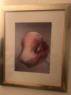 Orchidee schilderij, Ophalen, Zo goed als nieuw, Schilderij