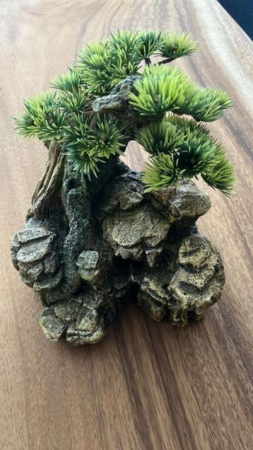 Bonsai boompje voor in aquarium 19 x 18 cm beschikbaar voor biedingen