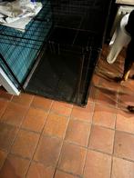 Grote honde bens voor grote honde, Ophalen of Verzenden, Nieuw