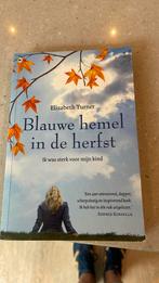 E. Turner - Blauwe hemel in de herfst, Ophalen of Verzenden, Zo goed als nieuw, Nederland, E. Turner