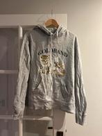 Goldband Trui - Maat M, Ophalen of Verzenden, Zo goed als nieuw, Maat 38/40 (M), Grijs