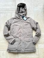 Airforce Jas Groengrijs Maat 16, Ophalen of Verzenden, Nieuw, Meisje, Jas