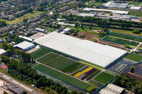 Locatiemanager Kwekerij, Vacatures, Vacatures | Landbouw, Natuur en Milieu, Tijdelijk contract, 33 - 40 uur