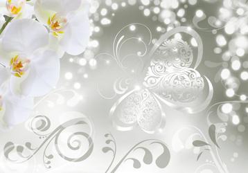 151 Orchidee Modern Vlies Fotobehang 350x250cm in 3 maten beschikbaar voor biedingen