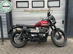 TRIUMPH STREET SCRAMBLER 35KW A2 (bj 2018), Motoren, Motoren | Triumph, 2 cilinders, Bedrijf, 900 cc, Meer dan 35 kW