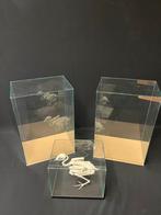 Opgezette dieren en of skeletten., Verzamelen, Dierenverzamelingen, Ophalen of Verzenden, Nieuw, Overige soorten, Opgezet dier