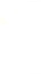 Instrumentenpaneel Seat Leon Toledo ect meerdere, Ophalen, T.Smit Outlet Store, Info@tommysmit.nl, 7008AR