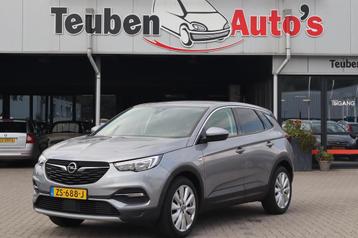 Opel Grandland X 1.2 Turbo Business Executive Climate contro beschikbaar voor biedingen