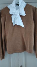 Lilytime, mooi fijn truitje maat S cognac met glittertje., Kleding | Dames, Blouses en Tunieken, Ophalen of Verzenden, Zo goed als nieuw