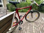 Giant Cadex Monex 1, retro classic 90's carbon monocoque, Ophalen, Gebruikt, Hardtail, Heren