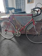 Raleigh, 53 tot 57 cm, Ophalen of Verzenden, Carbon, Overige merken