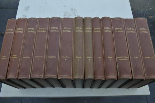 Brehms Tierleben complete 13 delig serie Dierleven 1911-1920, Boeken, Dieren en Huisdieren, Gelezen, Overige diersoorten, Ophalen
