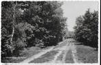 Chaam Omgeving Putven Oude Gelopen Ansichtkaart (B1836 ), Verzamelen, Ansichtkaarten | Nederland, Ophalen of Verzenden, 1940 tot 1960