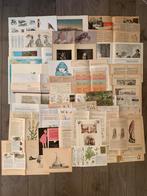 Scrapbooking/journaling pakket vintage papier 100 pagina’s, Ophalen of Verzenden, Gebruikt, Papier of Karton, Overige merken