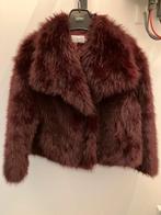 Rood bontjasje van Yu & Me, Kleding | Dames, Jassen | Winter, Maat 38/40 (M), Ophalen of Verzenden, Zo goed als nieuw, Yu & Me