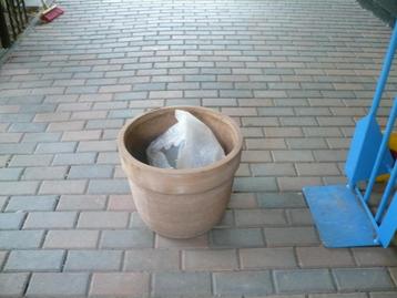 een grote terracotta planten pot rond 45 hoog 37 beschikbaar voor biedingen