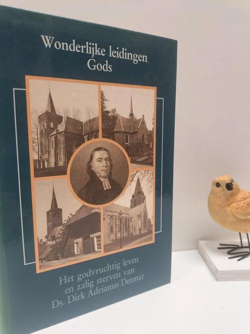 Detmar, Ds. D.A.; Wonderlijke leidingen  Gods, Boeken, Godsdienst en Theologie, Gelezen, Christendom | Protestants, Ophalen of Verzenden