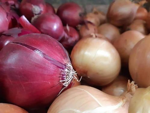 Uien geel en rood, bildstar en jelly aardappelen, Diversen, Levensmiddelen, Ophalen