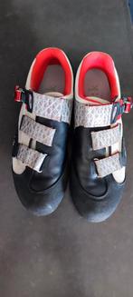 Fizik schoenen, Ophalen of Verzenden, Gebruikt, Kleding