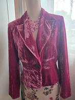 Vintage fluwelen blazer, Kleding | Dames, Maat 38/40 (M), Ophalen of Verzenden, Zo goed als nieuw, Jasje