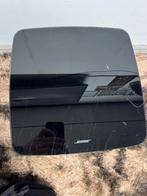 Bose subwhoofer 1000, Ophalen of Verzenden