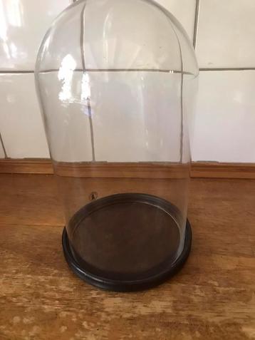 Glazen stolp met los houten onder stuk beschikbaar voor biedingen