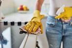 Huishoudelijke hulp/schoonmaakster/schoonmaker, Overige vormen