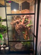Terraruim, Dieren en Toebehoren, Ophalen of Verzenden, Zo goed als nieuw