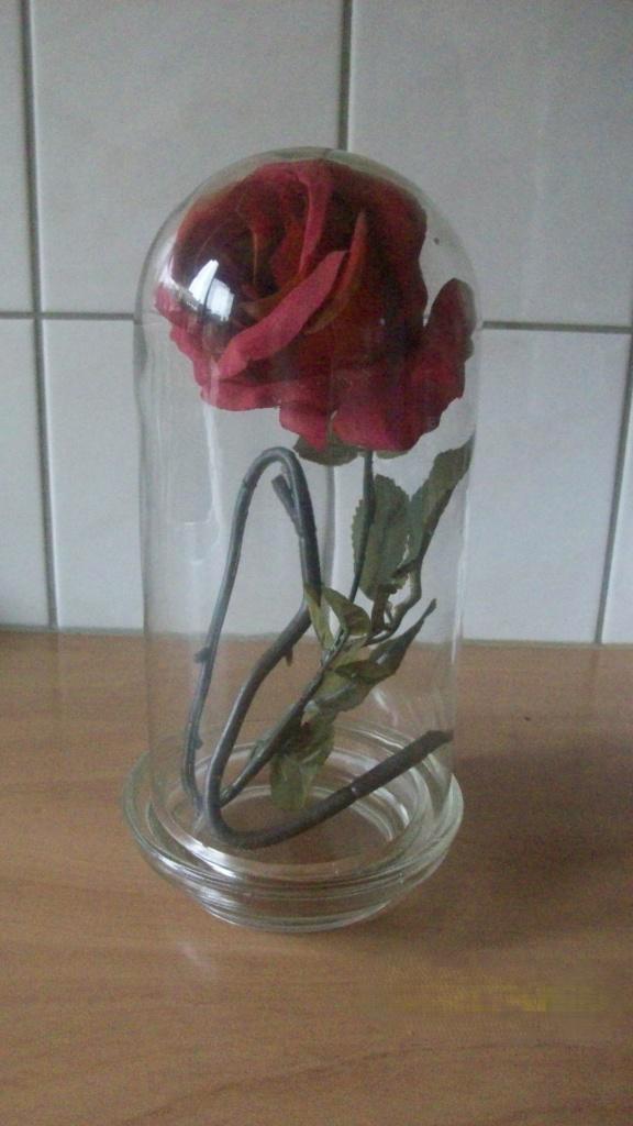 Glazen stolpen, Huis en Inrichting, Woonaccessoires | Stolpen, Zo goed als nieuw, Ophalen of Verzenden