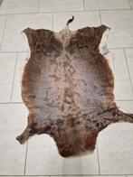 Blesbok huid  glanzend lichtbruin met wit, Wit, Zo goed als nieuw, Rechthoekig, 50 tot 100 cm