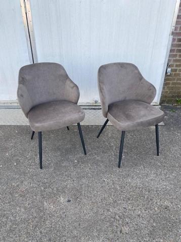 50 eetkamerstoelen horeca restaurant stoelen velvet nieuw beschikbaar voor biedingen