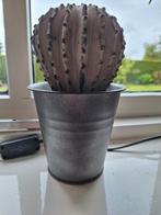 Betonnen cactus, Ophalen of Verzenden, Nieuw