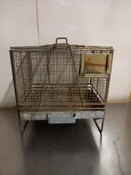 Ijzeren kooitje, Minder dan 60 cm, Kooi, Minder dan 75 cm, Ophalen of Verzenden