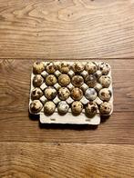 Verse consumptie-eieren van de Japanse kwartel, Dieren en Toebehoren, Geslacht onbekend, Overige soorten